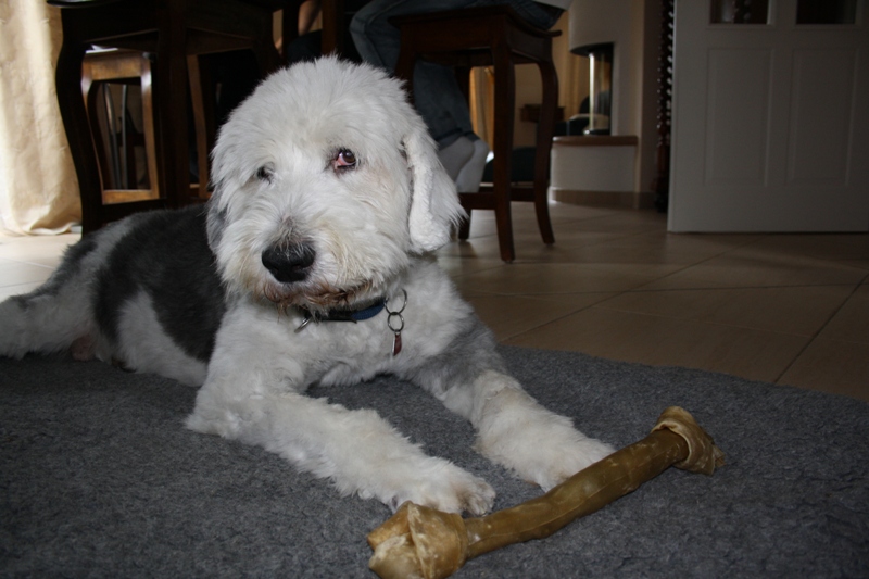 Kö-Pi`s 599 Brentino ( Brenno ) 03.10.2001 - 01.01.2014