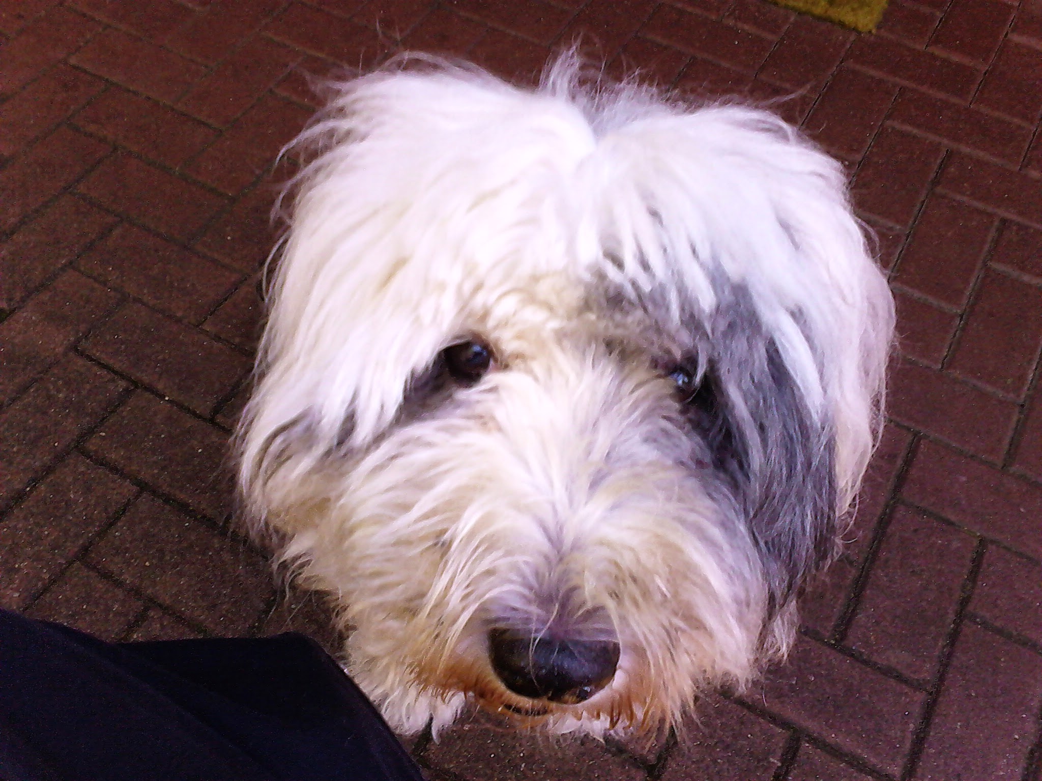 Kö-Pi`s 599 Fleurie 01.07.2004 - 16.10.2017