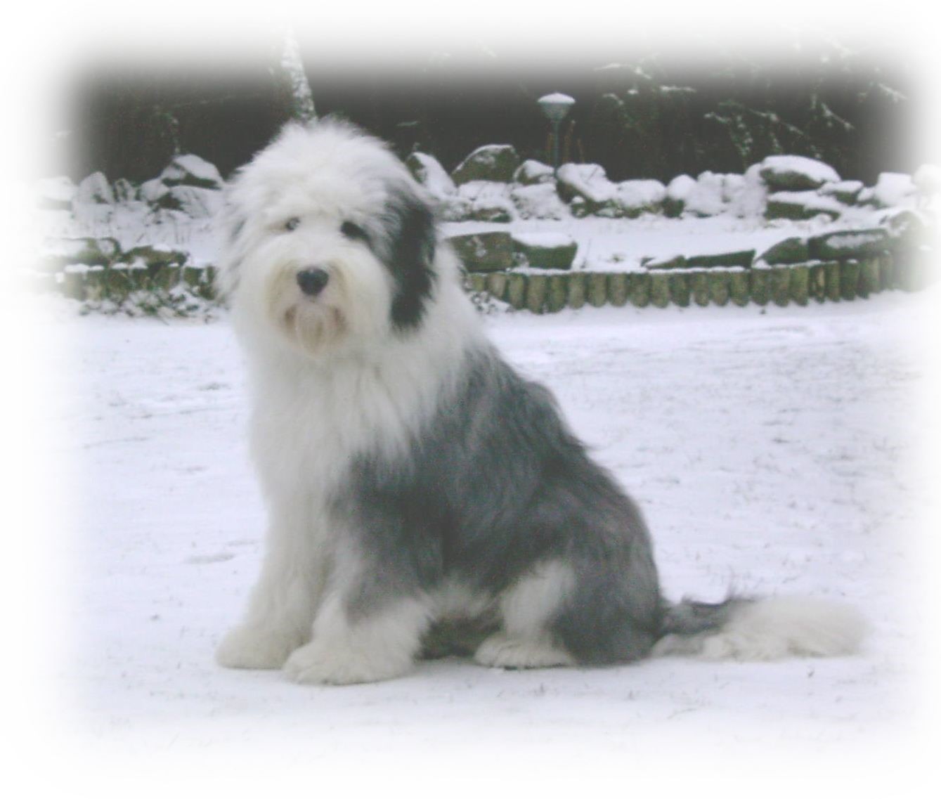 Kö-Pi`s 599 Rumo 13.07.2004 - 27.08.2016