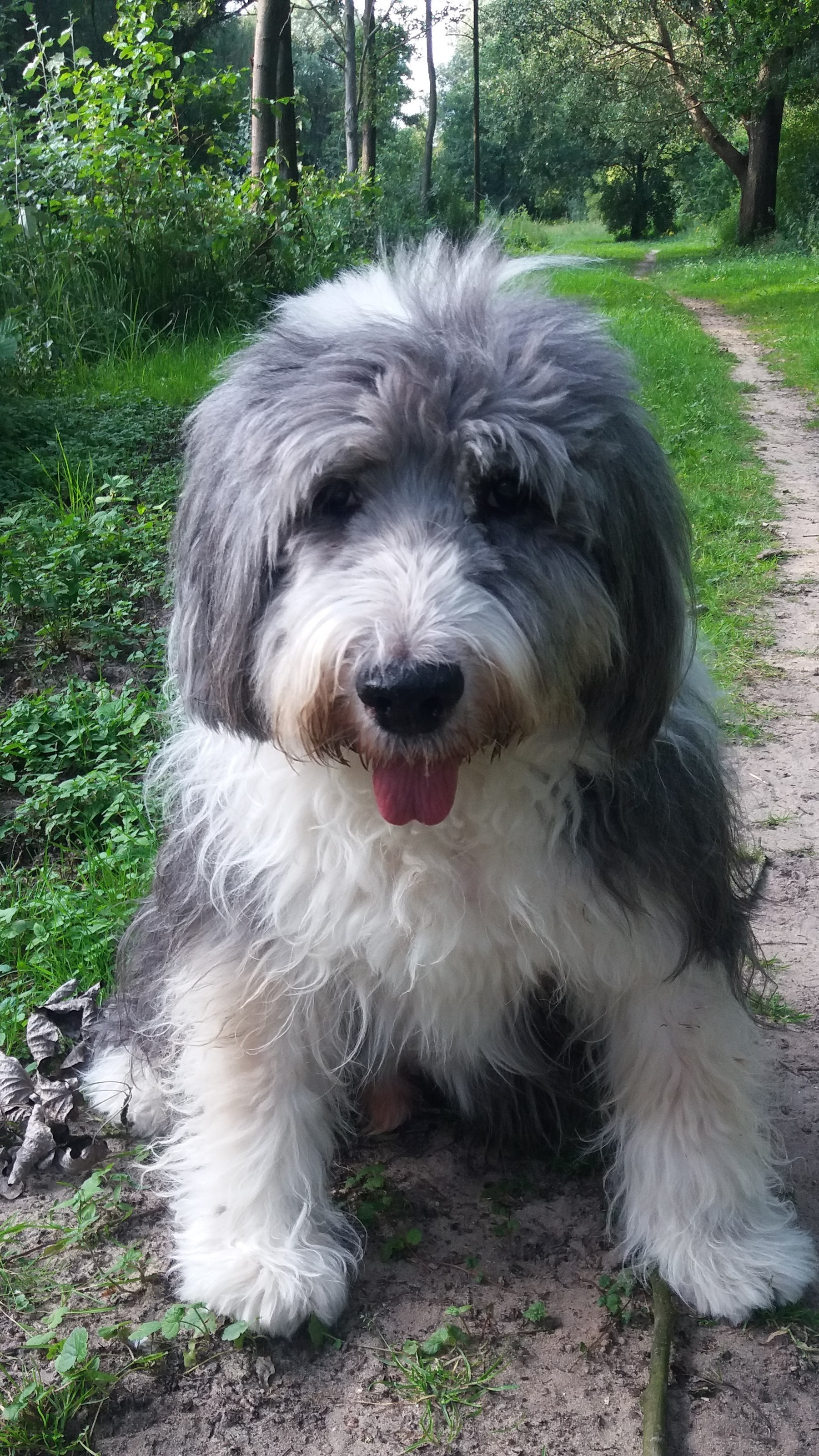 Kö-Pi`s 599 Tocai 13.07.2004 - 25.02.2017